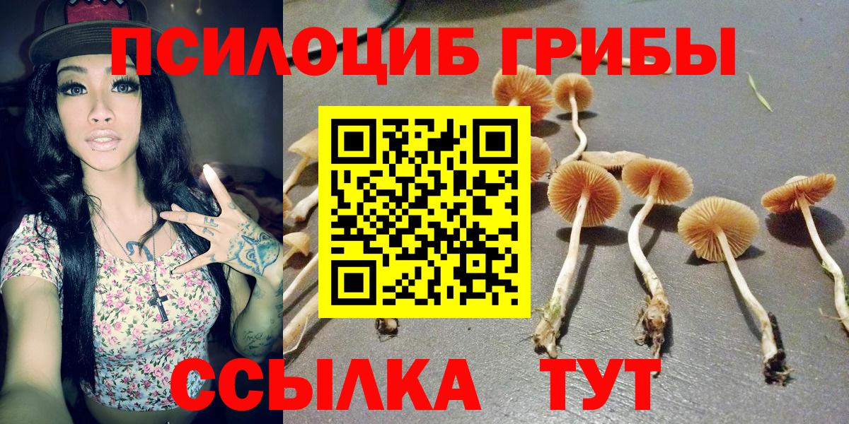 закладка  Вход с VPN  Мыски  Галлюциногенные грибы MAGIC MUSHROOMS 