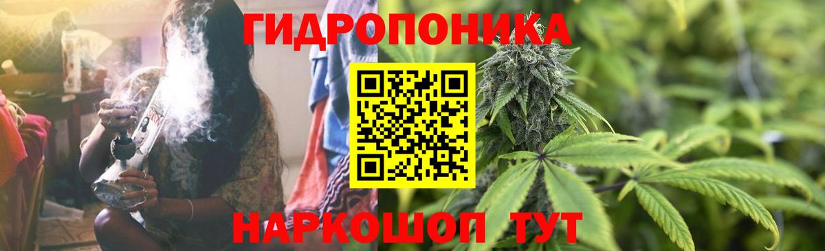Конопля конопля Мыски